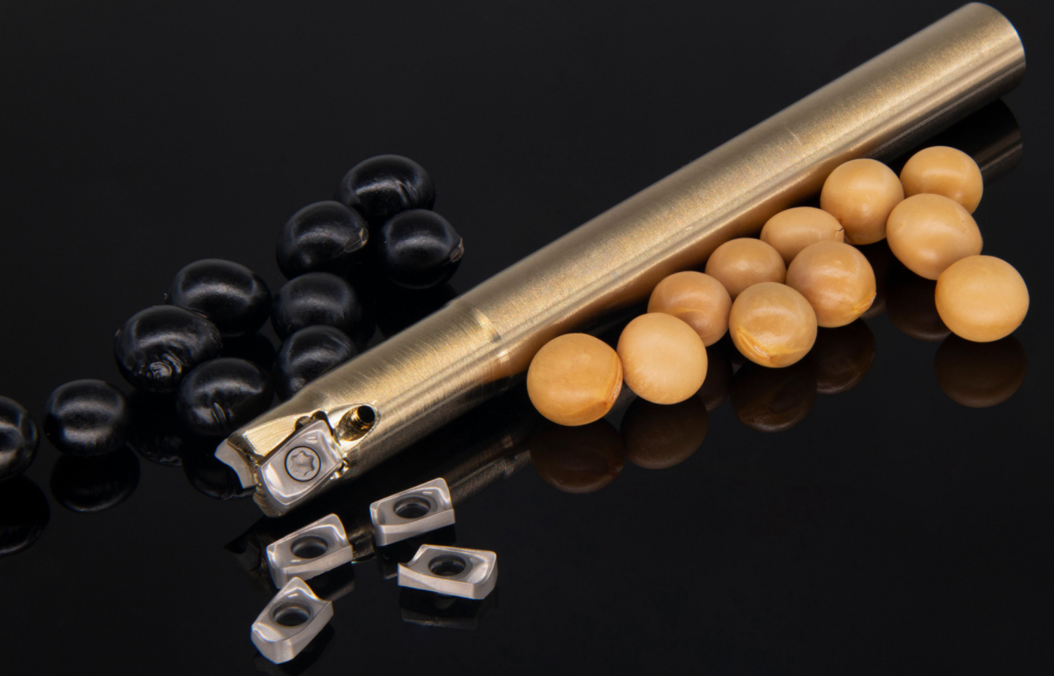 1770687847552425.png 1770687847552425.png